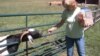 Terry Cummings with one of her rescued animals at the Poplar Spring Animal Sanctuary for abused and abandoned farm animals and wildlife, a 400-acre refuge in rural Maryland. (Julie Taboh/VOA) 