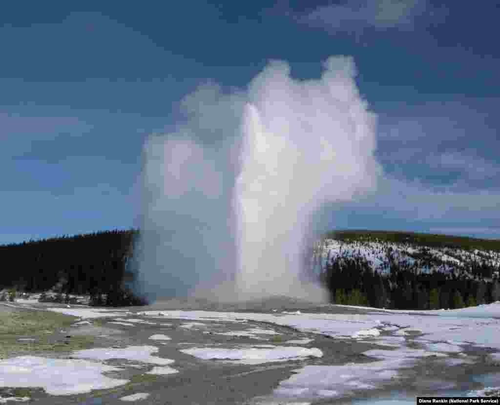 Old Faithful Geyser eruption