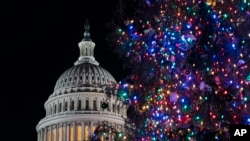 华盛顿国会山的圣诞树和国会大厦 （2024年12月19日）