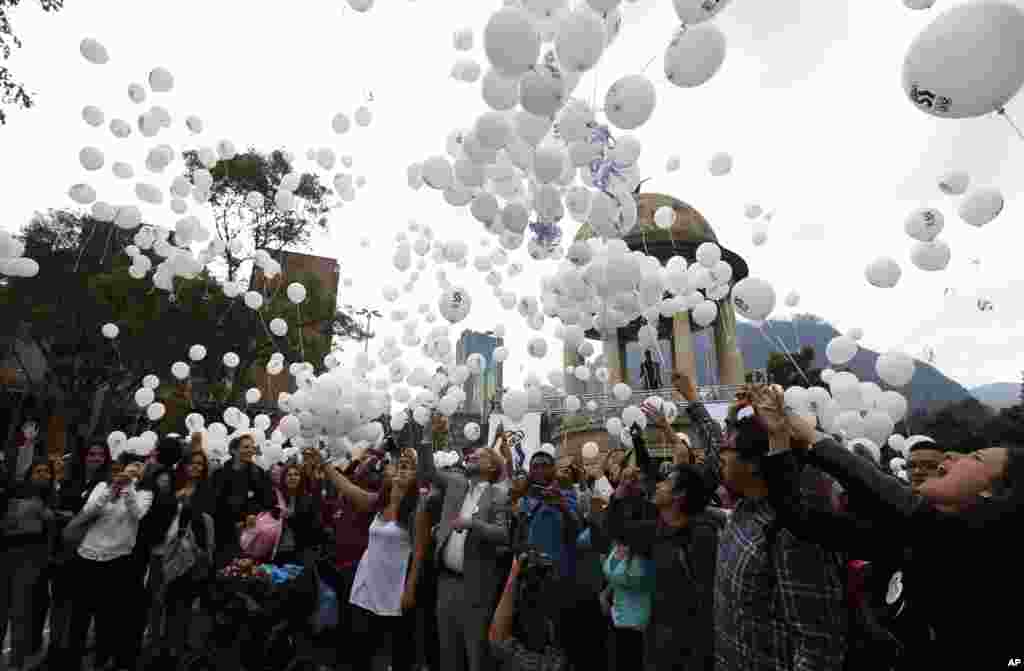 حامیان توافق صلح دولت کلمبیا و شورشیان چپگرای فارک خواستار رای &laquo;آری&raquo; مردم در همه پرسی شدند.