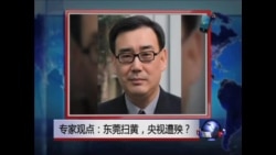 杨恒均: 东莞扫黄，央视遭殃