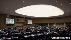 뉴욕 유엔본부에서 유엔총회 제1위원회 회의가 열리고 있다.