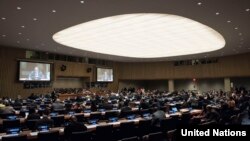 뉴욕 유엔본부에서 유엔총회 제1위원회 회의가 열리고 있다.