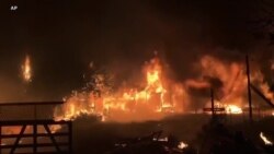 西部野火肆虐 政府民间联手正本清源