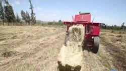 Tractor Giant Sows Uber High-Tech Seeds in Africa