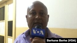 ስነ ጥበባዊ ተስፉ ኪሮስ(ግራይ)