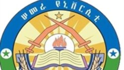 የአፋር ወጣቶች በክልሉ የሚፈፀሙ የሰብዓዊ የመብት ጥሰቶች እንዲቆም ጠየቁ