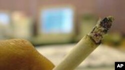 လူကို အန္တရာယ်ပေးတဲ့ မီးခိုးငွေ့