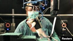 A researcher observes a rat walking on its hind legs during an experiment involving spinal cord injuries, at the Center for Neuroprosthetics and Brain Mind Institute in Ecublens, Switzerland, May 31, 2012.