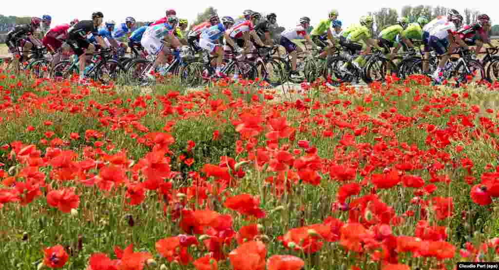 The peloton is on the way during the 11th stage of the Giro d&#39;Italia cycling race over 227km from Modena to Asolo, Italy.