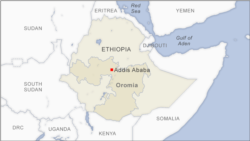 ኣብ ምዕራብ ኦሮሚያ ንዝንቀሳቐሱ ዕጡቓት ንምዝርራብ ዓበይቲ ዓዲን ምሁራን ናብቲ ከባቢ ምኻዶም ተገሊጹ