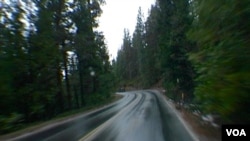 优胜美地公园联外的41号公路蜿蜒危险（美国之音国符拍摄）