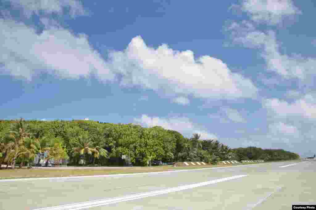 太平岛原生林貌一隅（台湾总统府）