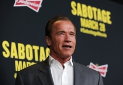 آرنولد شوارتزنگر