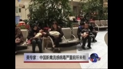 美专家：中国新禽流感病毒严重前所未有