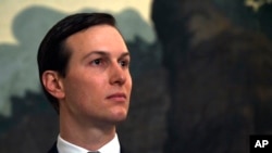 白宫高级顾问库什纳