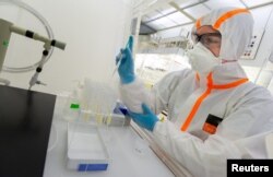 یک دانشمند در حال مطالعه بر روی دندان‌های کوسه