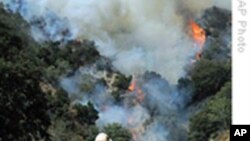 野火肆虐加州 洛杉矶社区受威胁