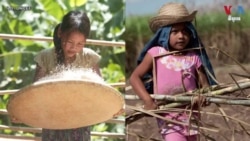 UN Reports Global Child Labor in the Rise due to Covid-19