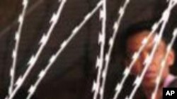 ကြိမ်ဒဏ်အပြစ်ပေးမှု ချက်ချင်း ရပ်ဆိုင်းဖို့ မလေးရှားအစိုးရကို AI တောင်းဆို