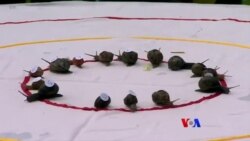 စက်ဘီးလိုနင်းတဲ့ကား၊ အမှိုက်ကော်ဖီဆိုင်