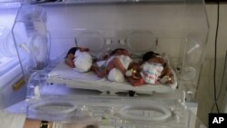 یونیسیف گفته است که میزان مرگ و میر نوزادان در افغانستان بلند است