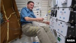 Mission specialist Rex Walheim performs checks of the Cell Culture Module aboard the US space shuttle Atlantis in 2011. (NASA)