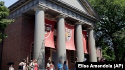 در این مراسم، برنامه های هنری زنده، شامل رقص، موسیقی و شعرخوانی برگزار شد و جاضران با فرهنگ ایران آشنا شدند.