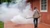 Zika persiste en Hispanoamérica y costará millones