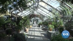 VOA英语视频: 美国国家植物园庆祝两百周年纪念日