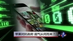 时事大家谈：苹果对抗政府，底气从何而来？