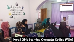 دختران هراتی مصروف آموزش کود نویسی کمپیوتر 