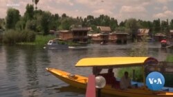 Tourism Suffers in Kashmir After Region's Autonomy Revoked by India