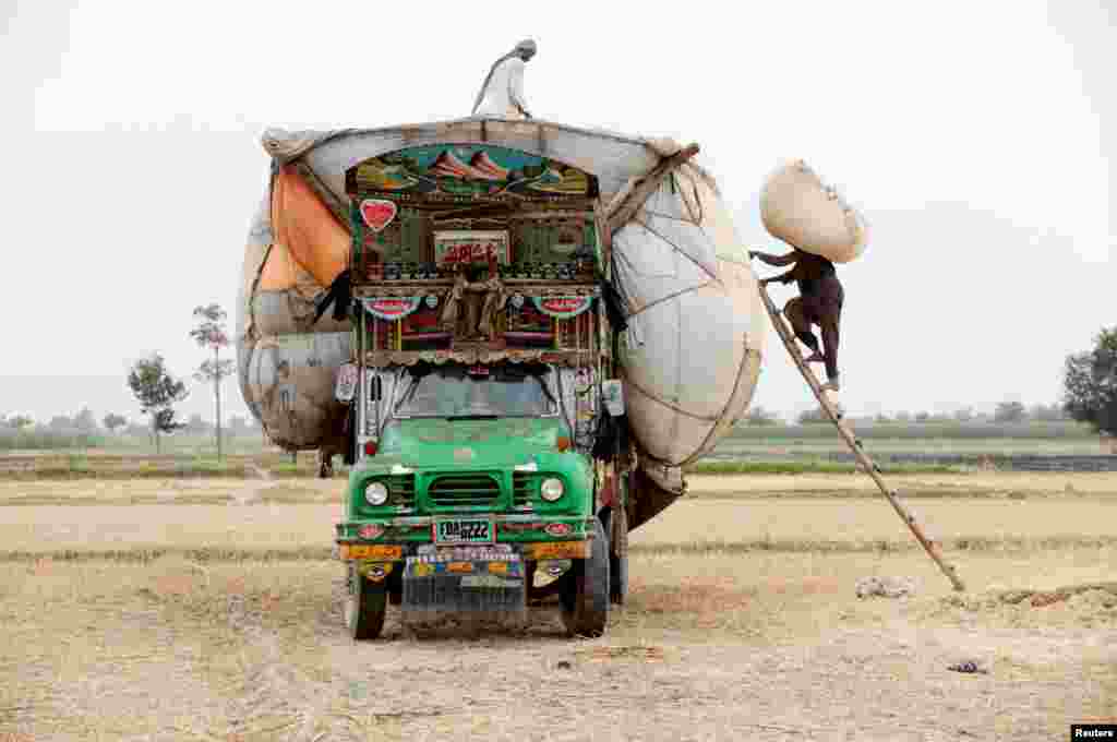 Para pekerja memuati truk dengan karung-karung jerami di Faisalabad, Pakistan.