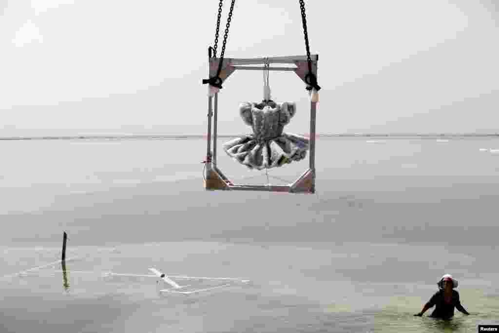 Israeli artist Sigalit Landau looks up at her artwork, a ballerina's tutu covered in salt crystal formations, as it is removed from the hyper-saline waters of the southern Dead Sea, Israel.