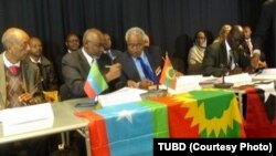 Hoggantoota Tumsa Uummatotaa Bilisummaa fi Dimookiraasii