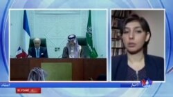 فرانسه از ائتلاف عربی علیه حوثی های یمن حمایت کرد