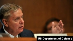 资料照片：格雷厄姆参议员(2012年6月13日) 