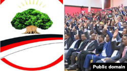 Paartii Badhaadhinaatti Makamuuf Waliigallee: ODP