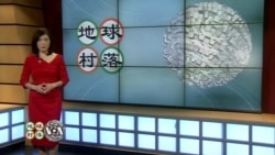 周末专辑(2019年12月21日)