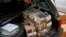 FILE - Money is seen piled in the back of a car in the Democratic Republic of Congo's capital Kinshasa.