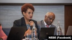 Faayilii - dura teechuu Boordii Filannoo Itoophiyaa, Birtukaan MIidhaksaa