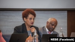 Faayilii - Dura teessu Bordii Filannoo Itiyoophiyaa, Aaddee Birtukaan Miidhagsaa