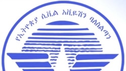 የታገዱ ሃያ አይሮፕላኖች እንዲበሩ ተፈቀደ