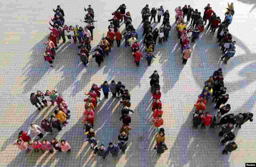 An American Robin, known for its warm orange breast and cheery singing, sits in a tree as snow falls in Fairfax, Virginia. (Diaa Bekheet/VOA)