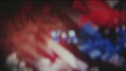 ፈነወ ትግርኛ 1900