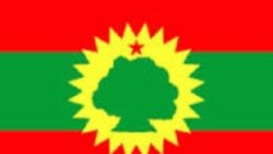 የኦነግ ቃል አቀባይ አቶ ቶሌራ አደባ ከቪኦኤ ጋር ያደረጉት ቃለ-ምልልስ