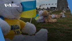 Студія Вашингтон.600 іграшкових ведмедиків у пам’ять про дітей України