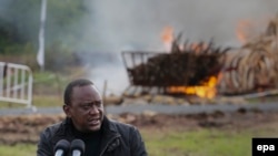Le président kenyan Uhuru Kenyatta prononce un discours après avoir incinéré une pile de défenses d'éléphant dans le parc national de Nairobi à Nairobi, Kenya, 30 avril 2016. epa / DAI Kurokawa