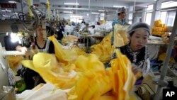 کارمندان صحی در حال کار
